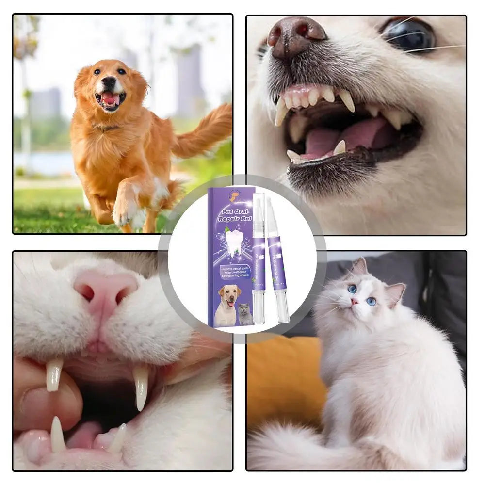 🔥 Kupite 1 – Drugi s 50% popusta!🦷🐾 Pet Oral Repair Gel – Prirodna dentalna njega za pse i mačke