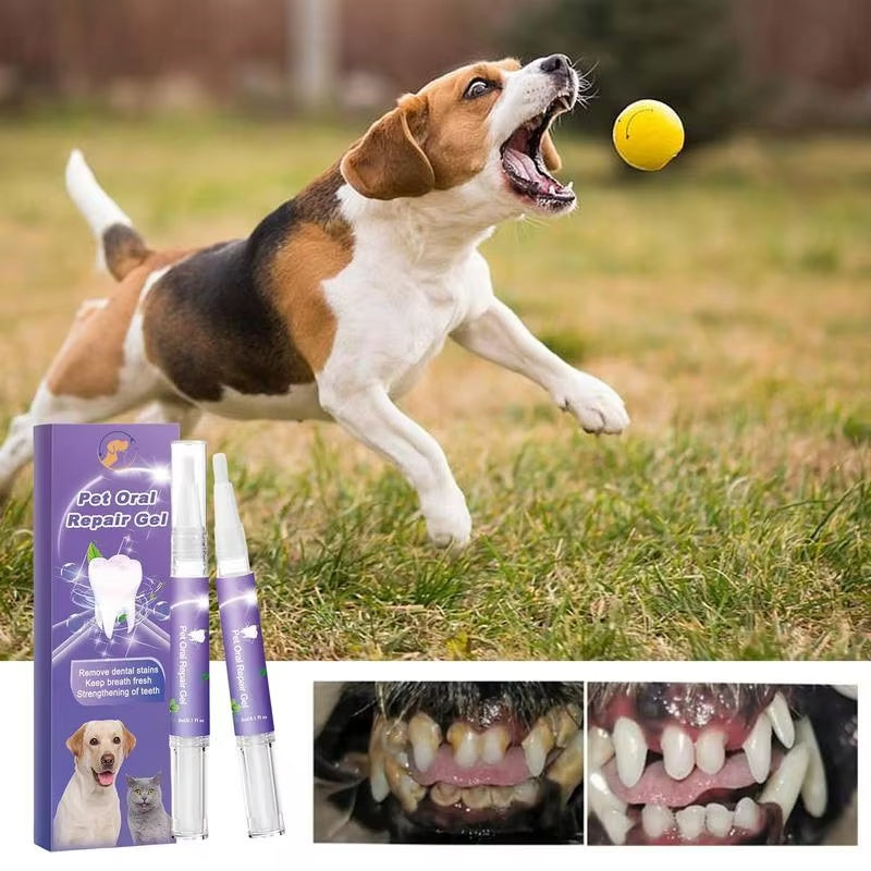 🔥 Kupite 1 – Drugi s 50% popusta!🦷🐾 Pet Oral Repair Gel – Prirodna dentalna njega za pse i mačke
